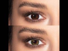 FreshLook ColorBlends Green - non correctrices (2 lentilles)
