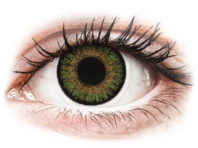 FreshLook One Day Color Green - correctrices