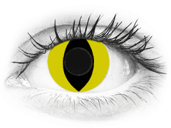CRAZY LENS - Cat Eye Yellow - journalières non correctrices (2 lentilles)