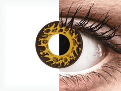 CRAZY LENS - Cheetah - journalières non correctrices (2 lentilles)