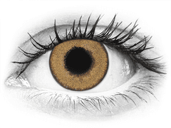 TopVue Daily Color - Honey - journalières non correctrices (2 lentilles)